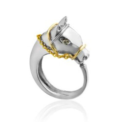 ANEL EM PRATA E OURO