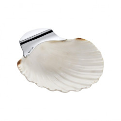 CONCHA COM PRATA